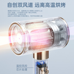 Source manufacturer hair dryer for home hair salon special high-power blue light negative ion hot and cold wind silent hair dryer