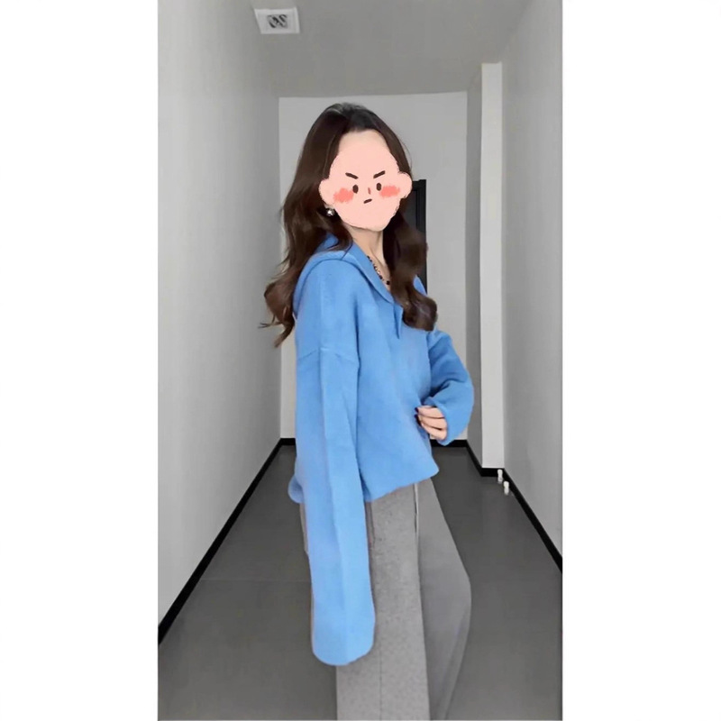超好看蓝色连帽套头毛衣女秋冬大码宽松慵懒风高级感打底针织上衣|undefined