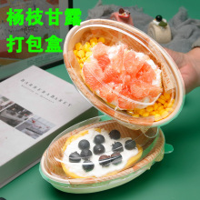 一次性椭圆形外卖餐盒固体杨枝甘露芒果酸奶柚子船盒沙拉轻食碗