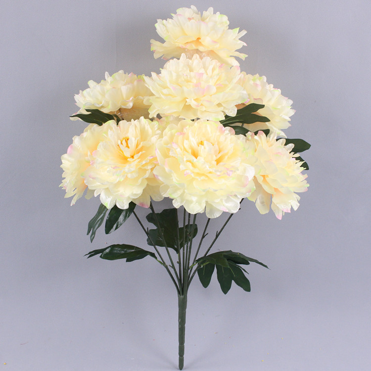 9 Fortune Peony (Champagne color)