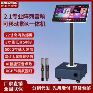 Home KTV Audio Outdoor Mobile Ksong All-in-One Square Dance Speaker with Singer Wireless Microphone Microphone