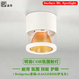 明装氛围射灯 LED吸顶黄光酒店玄关走廊天花灯7W夕阳家用筒灯跨境