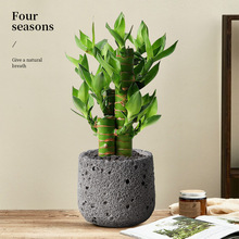 �lؔ��С���Կ͏d�G�}�Gֲ�k���҃ȸ��F�������辰�����ļ�ֲ��