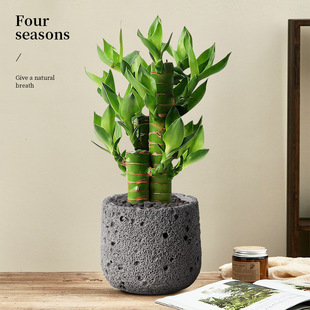 �lؔ��С���Կ͏d�G�}�Gֲ�k���҃ȸ��F�������辰�����ļ�ֲ��