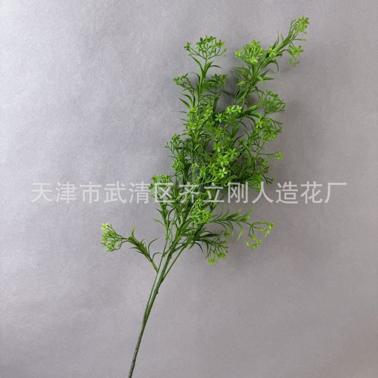 재스민