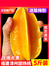 福建漳州甜杨桃5斤水果当季整箱洋桃鲜果新鲜红龙扬桃五角星阳桃