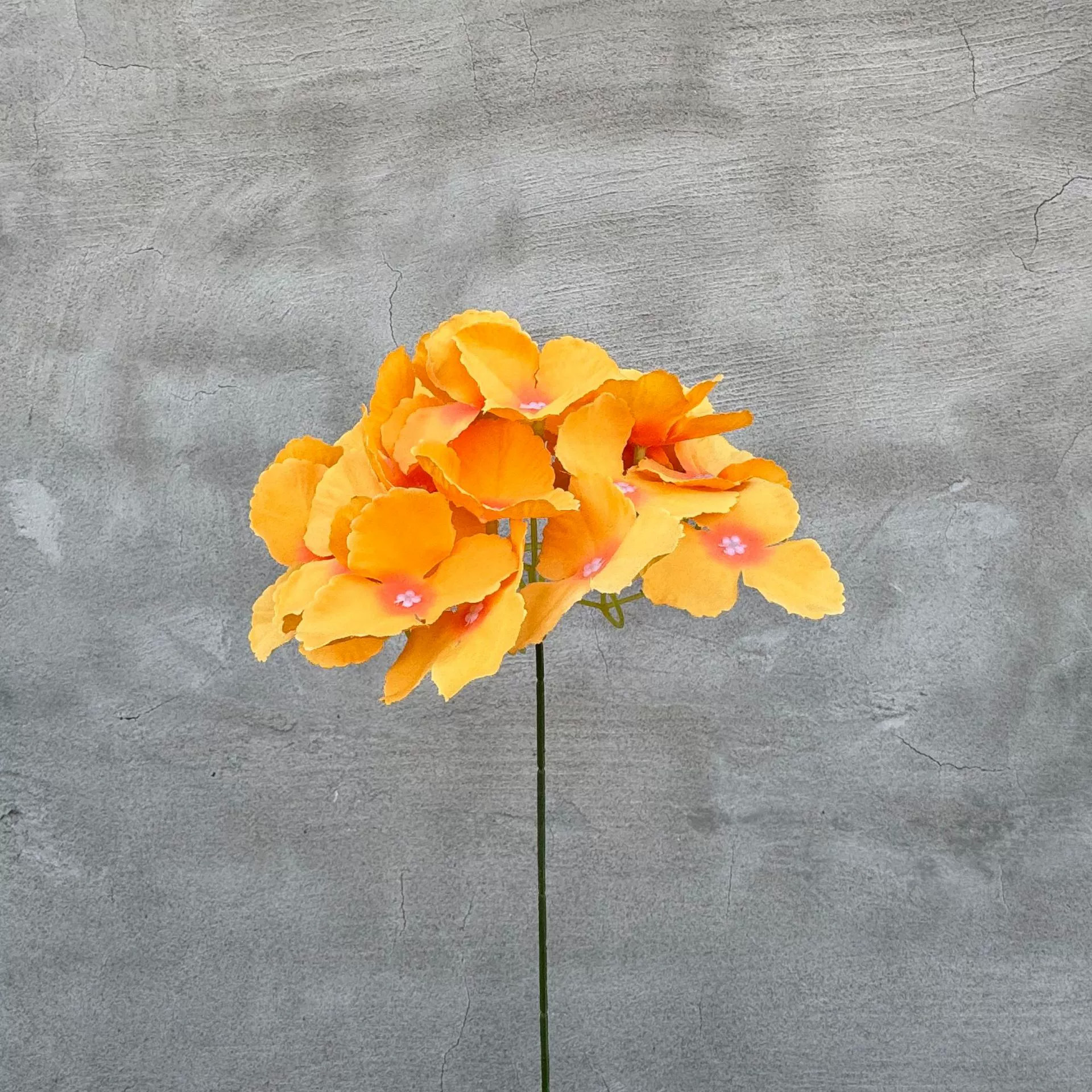 싱글 수국-오렌지