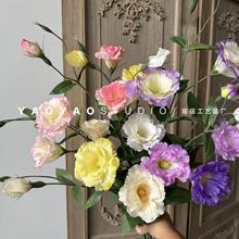 3�^��۹� �Ҿ��b�ˇ�[�������ٻ�������ɫ��ɫ��۹���������