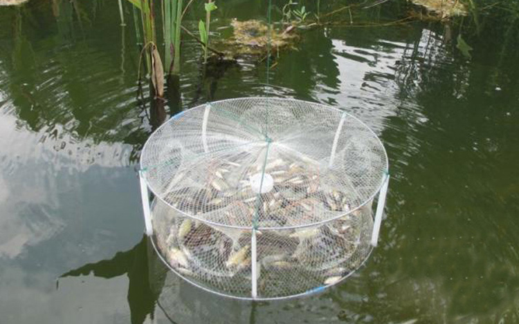 暑假亲子游推荐线路云南