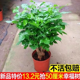 �Ҹ��������¼ҿ͏d�����՚�����ȩ���辰�k�����ļ������Gֲ��
