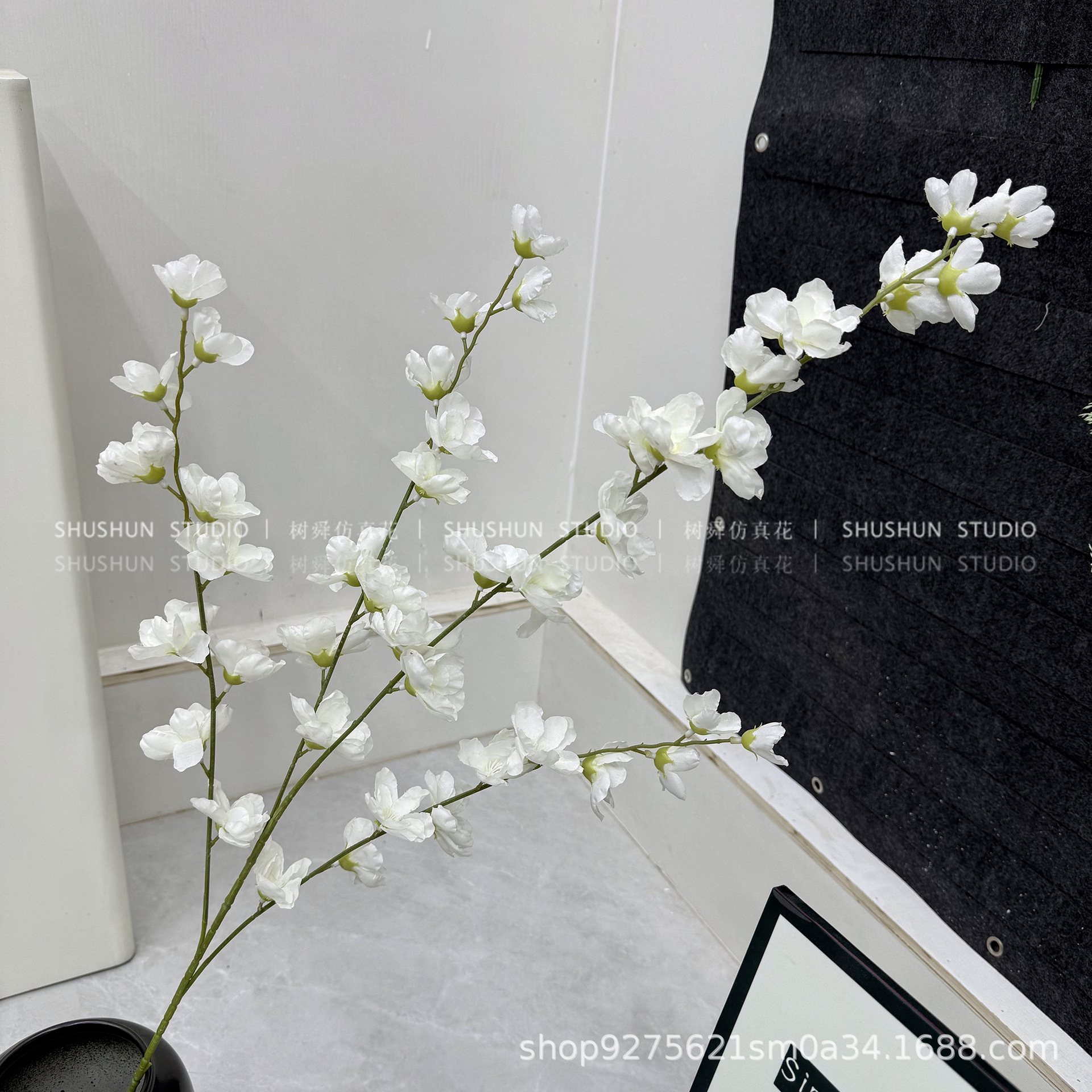 Cinco puntas violeta-blanco