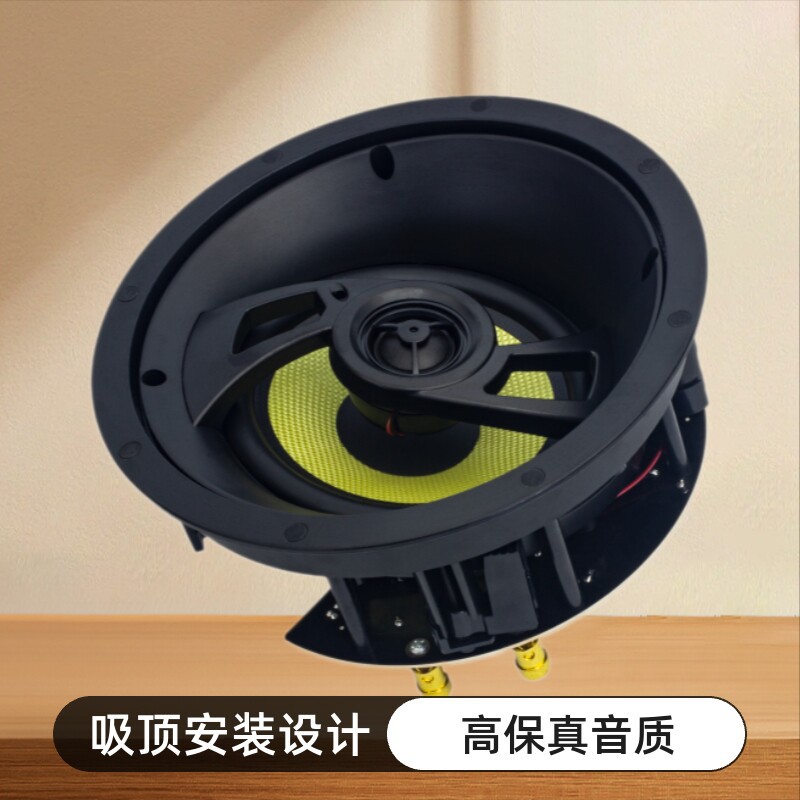 天籁工程家用商用定阻6.5寸同轴编织盆斜面式吸顶喇叭音箱tl--916