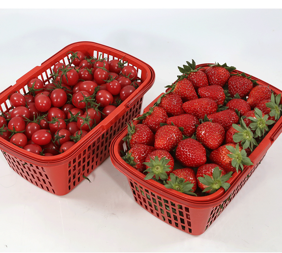 一键复制_20230203145944