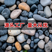 鹅卵石雨花石公园园林造景鱼缸摆放鹅卵石水过滤石厂家直供