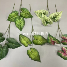 仿真绿植圆贝叶婚礼堂场景布置装饰花人造假花高级感逼真塑料花