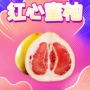 送礼礼盒装新鲜应季蜜柚