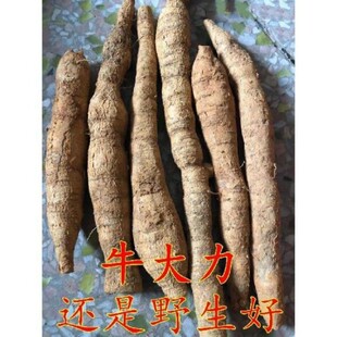 Ұ��ţ������500g�˰��] һ���b���˺ó��Ҝ������r��؛