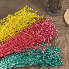 Love Bean Dried Flower, Yunnan Eternal Flower, Factory Wholesale, Rich Bean Dried Flower Bouquet for Home Decoration and Cross-border Display