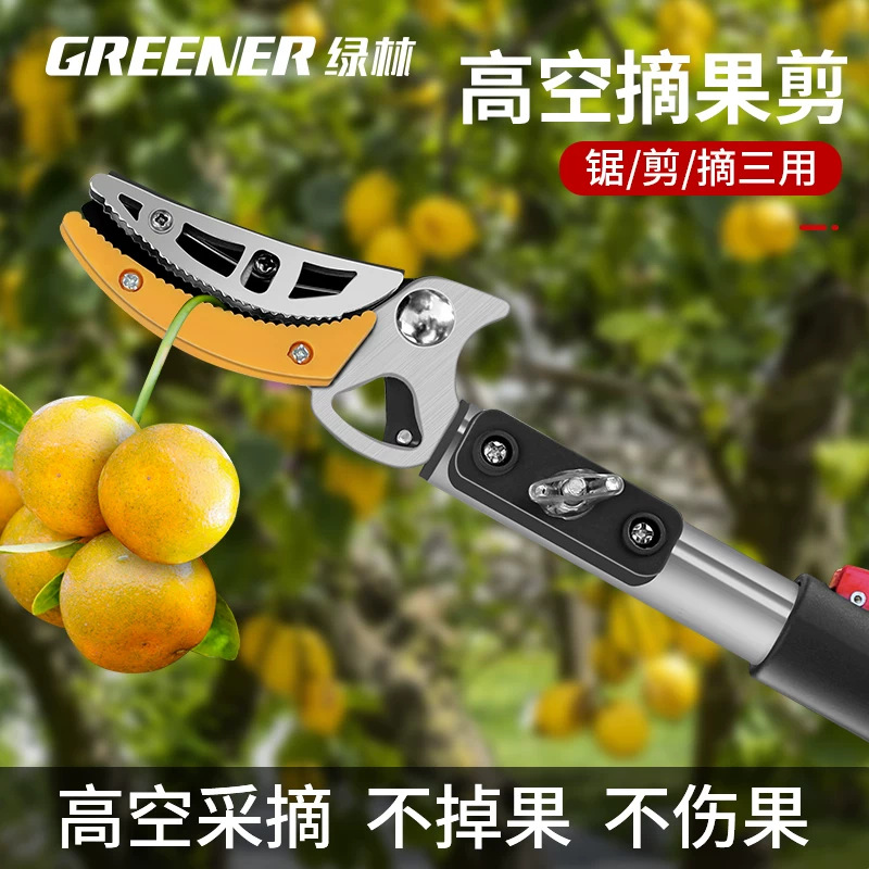 Herramienta de recolección de frutas de alta altitud de bosque verde varilla telescópica fruta recolección de loquat artefacto de recolección de frutas prolongación de prenda de ramas herramienta de recolección de frutas