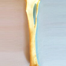 ���g�����ǹ�Ä�����ģ�͹ǿƹ��Ǽ܄������Ȯ�ƌ���