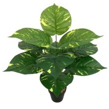 ����Gֲ���l�f����G�}���Ԉ@�ּҾӾƵ��҃��k���G��ֲ��b�