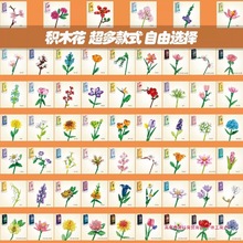 Wteľƴeľ߻DIYMϻ˶Y