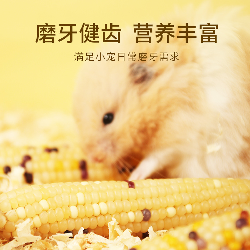 Mini maíz pequeño palo molar hámster ratón conejo oso molar snack oso oro nutritivo granos image 2