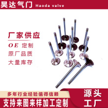 �����ڴ���ͨ��ϵ�н������� valve  55568831  55565339
