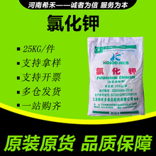 �Ȼ�� �Ƃ��� �I�B������  �F؛���l ����ă� �Ƃ��� �Ȼ��