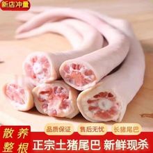 【顺丰包邮】新鲜冷冻猪尾巴长尾整根长尾巴农家散养土猪带皮干净