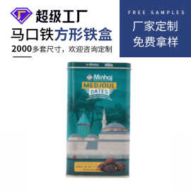 厂家定制零钱存钱罐 马口铁方形硬币储蓄铁罐 卡通金属包装存钱罐