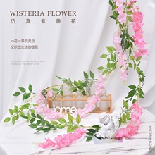 �����ڳ�10�����ٻ����ٻ�����b���������c���ٗl����