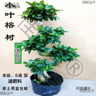�ļ������䘶�辰���҃�ֲ���˅���С�~�Ř������¿��ͺ���