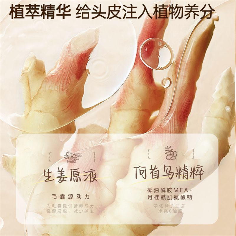 Ruyi 脱毛防止と根を固めるシャンプー、オイルコントロール、ふわふわ、根を強化し、髪を固める、男性と女性のケアと香りのジンジャーコンディショナーセット|undefined