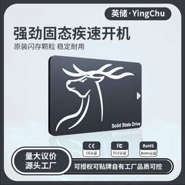 英储 ssd 固态硬盘120gb 128g 240g 256g512g笔记本台式电脑SATA3