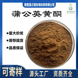 蒲公英黄酮5%-15% 蒲公英提取物 蒲公英粉  包邮  厂家现货速发