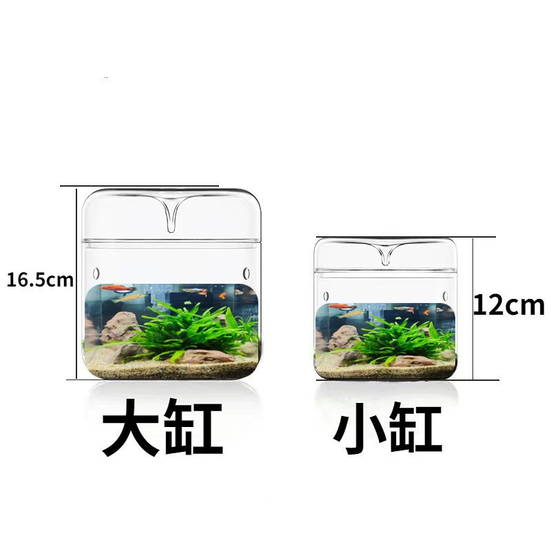 Микро-ландшафтный резервуар аквариум-ландшафтный резервуар мха микро-ландшафтный бонсай Зеленая бутылка в горшке Экологический аквариум-ландшафтный бассейн