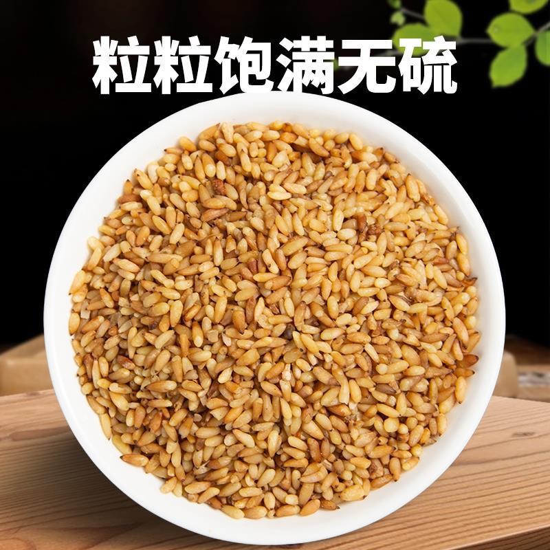 Dried Platycladus Seed Bai Zi Ren 500g Herbal Seeds for Tea and Wine Infusion specifications
