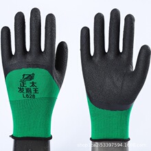 ��������������׉T�z���o�ڱ��{�����z������ĥ���z��������