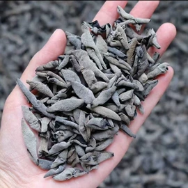 竹笋类;库存农产品;其他蔬菜