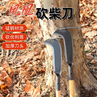 ����һ�w�B��呴��P���^���r�ÿ��������ÿ��ĵ�������֦�