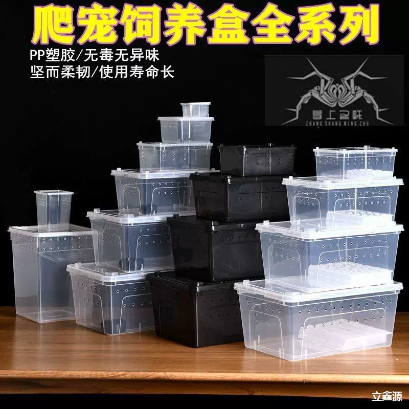 Коробка для рептилии