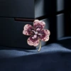 411#purple clover