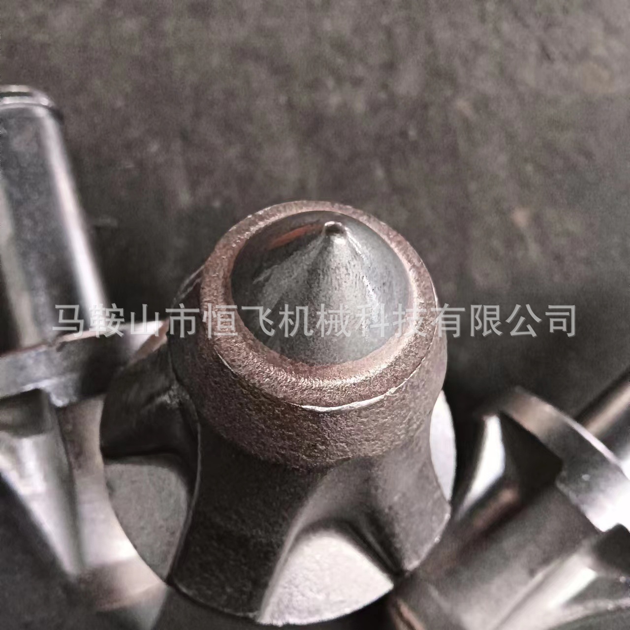 微信图片_20230919091555