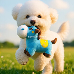 ����ë�q�l��ߴ���С��Ȯ��ҧ˺ҧĥ�����X��ζ����{ɫ�R�H��