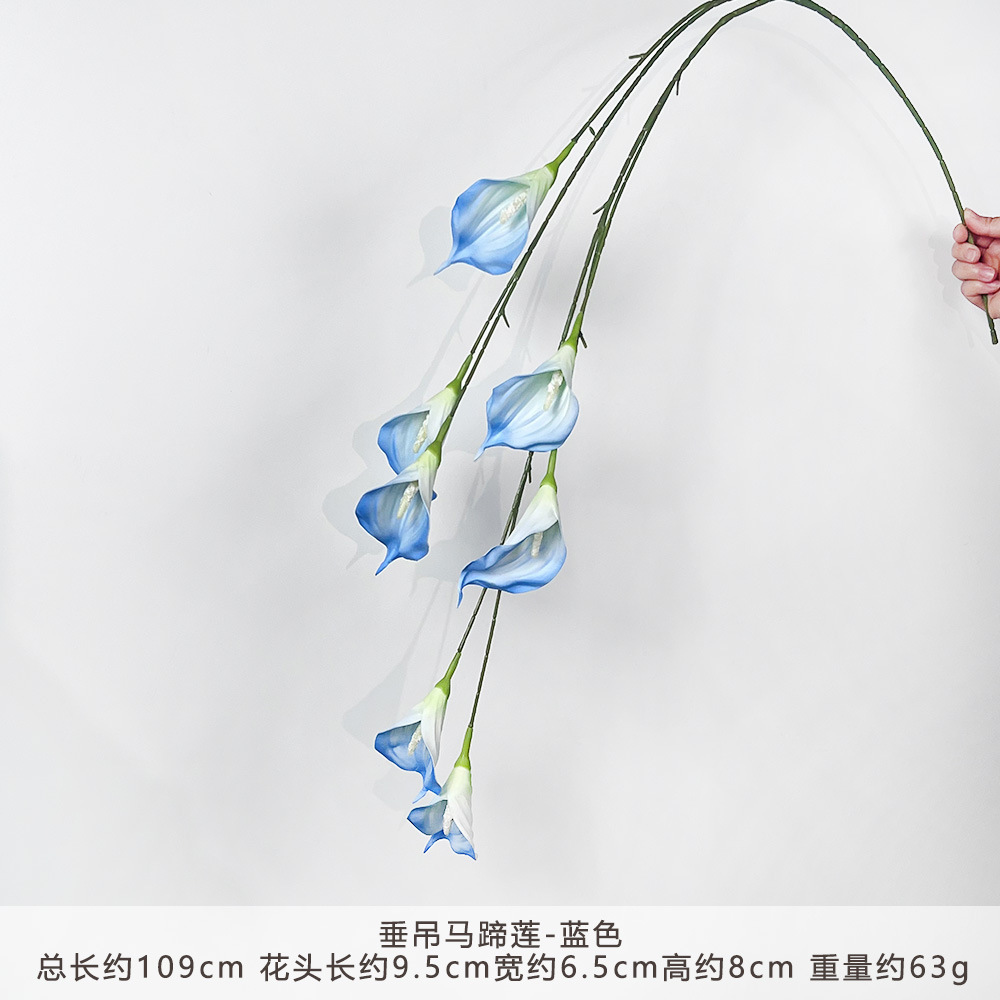 KR-垂吊马蹄莲-蓝色