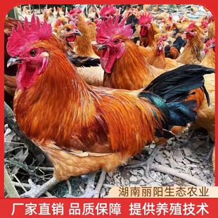 ���l���_���u������w����һ���gС�u�������r��ɽ�ط��B�t���u��