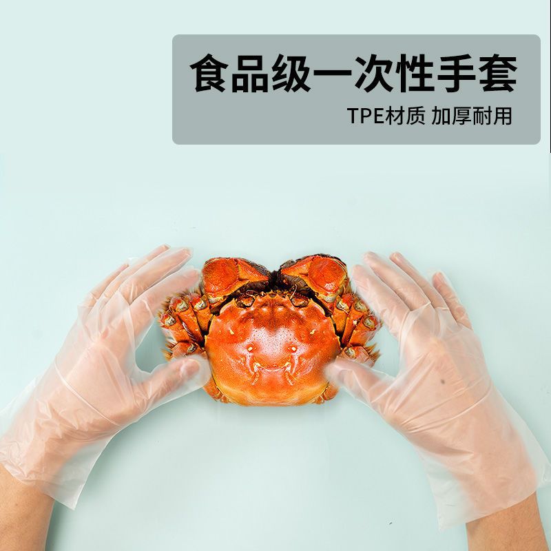 一次性手套加长TPE防油透明家用卫生盒装防护批发环保加长加厚