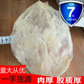 北海特产芒鱼花胶鱼胶片干货特产海产品鱼鳔鱼肚小公肚鱼泡胶一斤