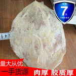 北海特产芒鱼花胶鱼胶片干货特产海产品鱼鳔鱼肚小公肚鱼泡胶一斤